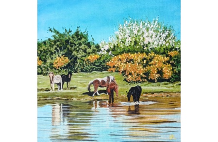 ocknell_pond_ponies