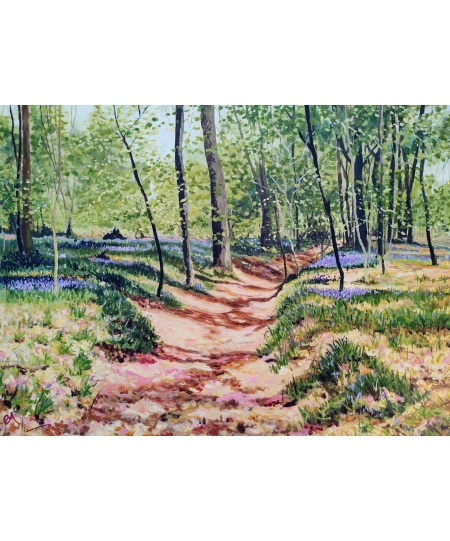 bluebell_path