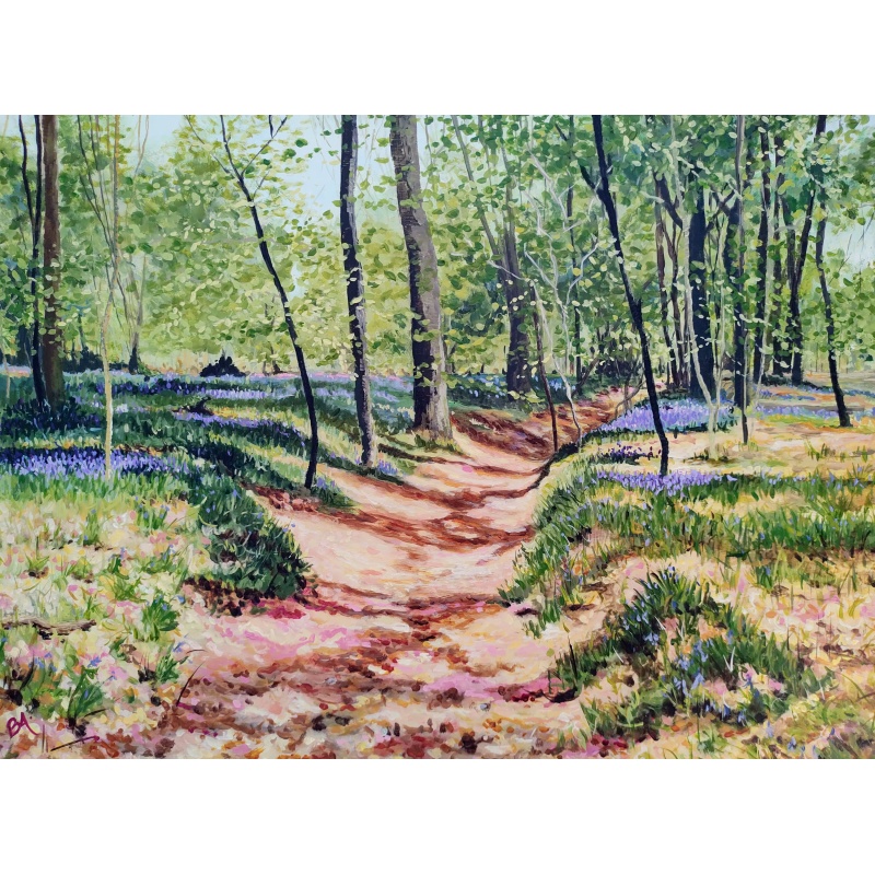 bluebell_path