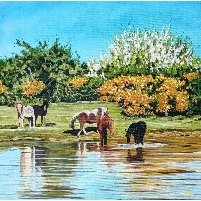 ocknell_pond_ponies